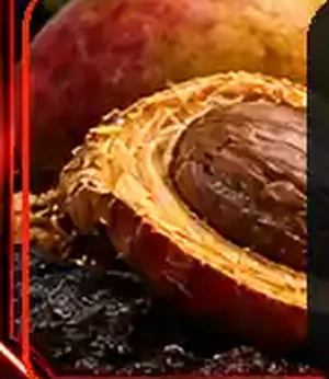 African Mango Seed